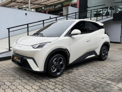 BYD DOLPHIN MINI 2027