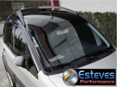 Esteves Perfornance