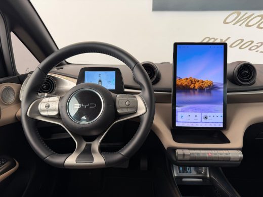 BYD DOLPHIN - foto 3
