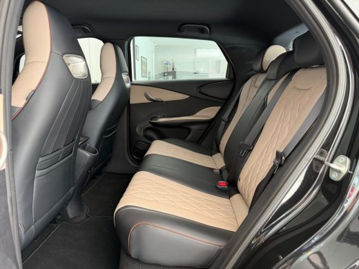 BYD DOLPHIN - foto 6
