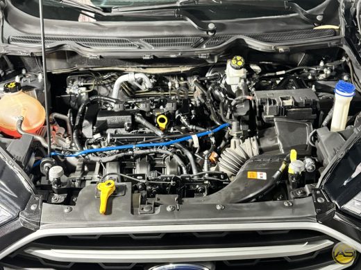 FORD Ecosport - foto 7