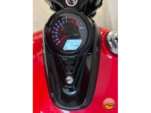 SHINERAY IRON 250 - foto 8