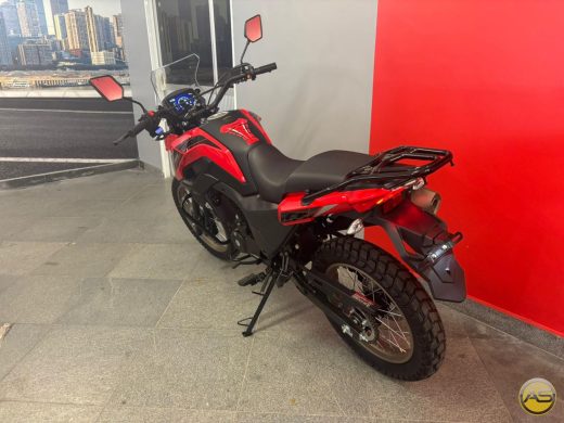 SHINERAY SHI 175 - foto 6