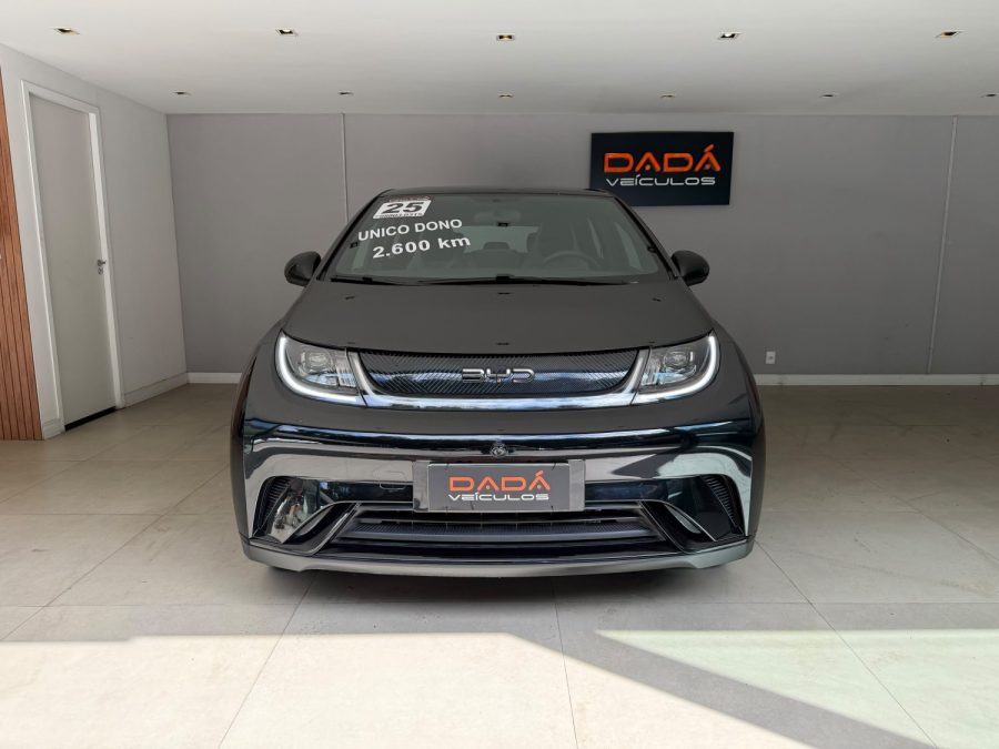 BYD DOLPHIN - foto 1
