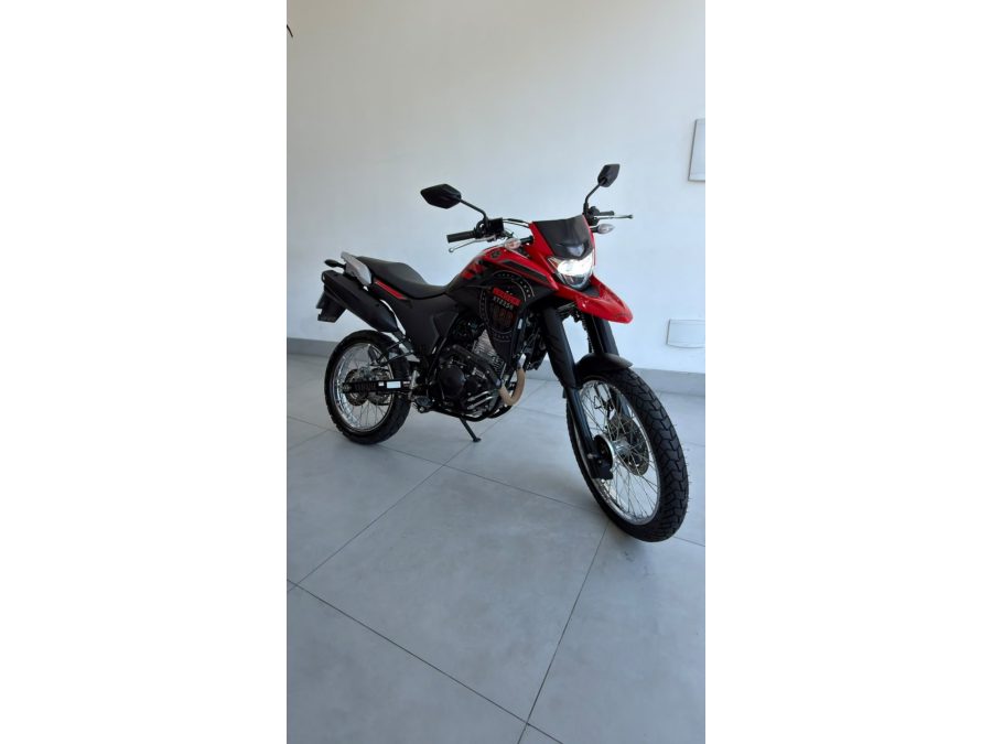 YAMAHA XTZ 250 LANDER - foto 1