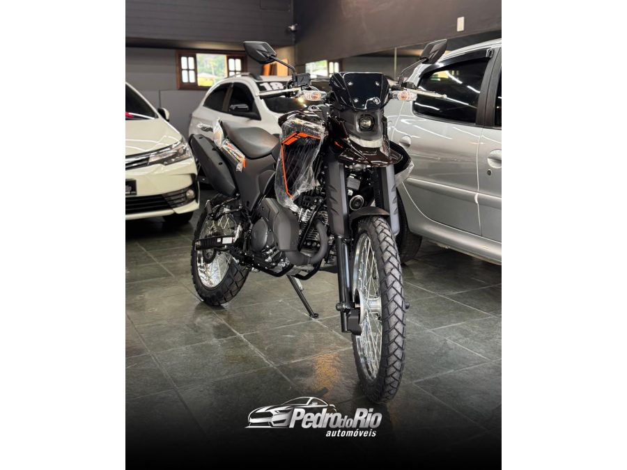 YAMAHA XTZ 250 LANDER - foto 1
